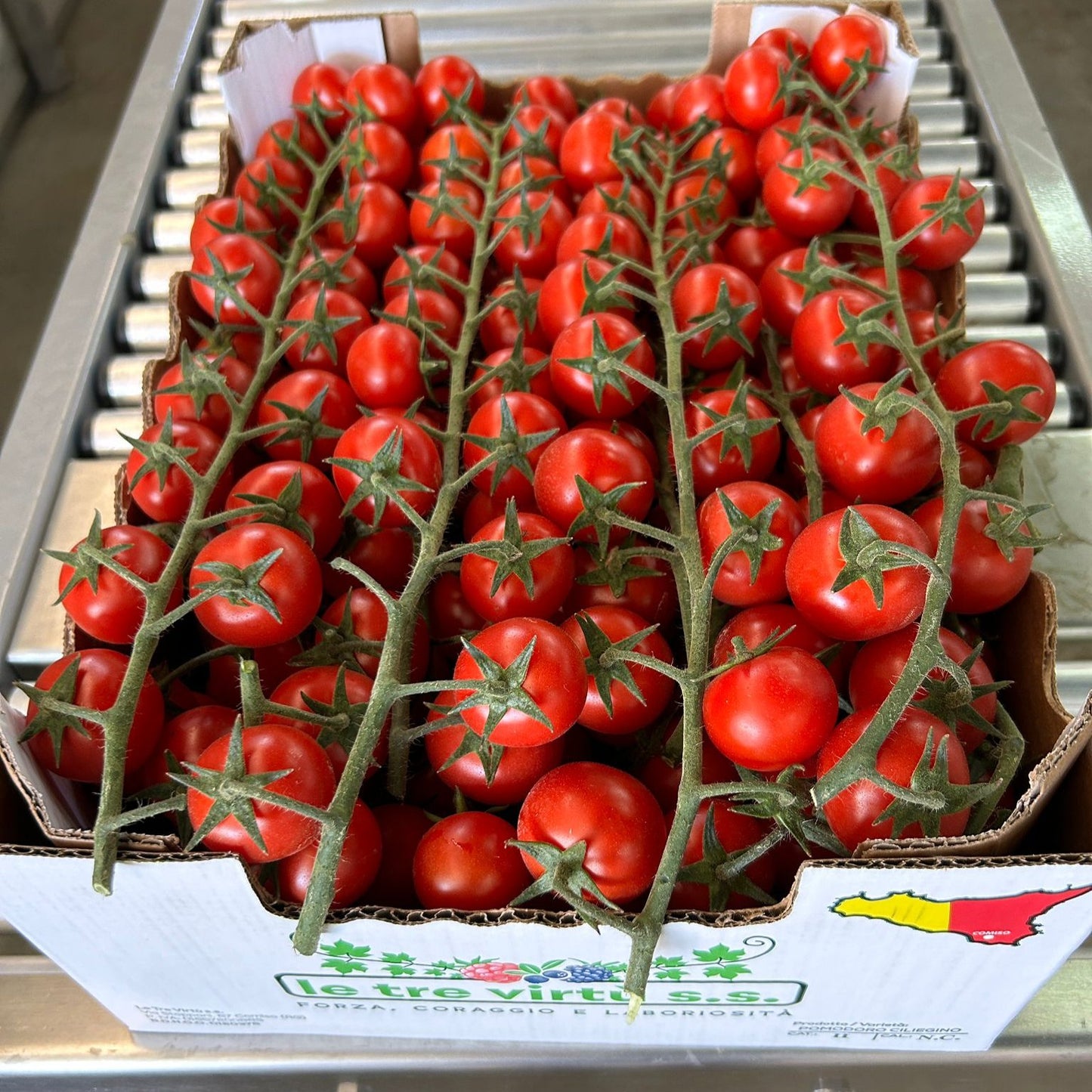 Pomodoro Ciliegino (70Kg)