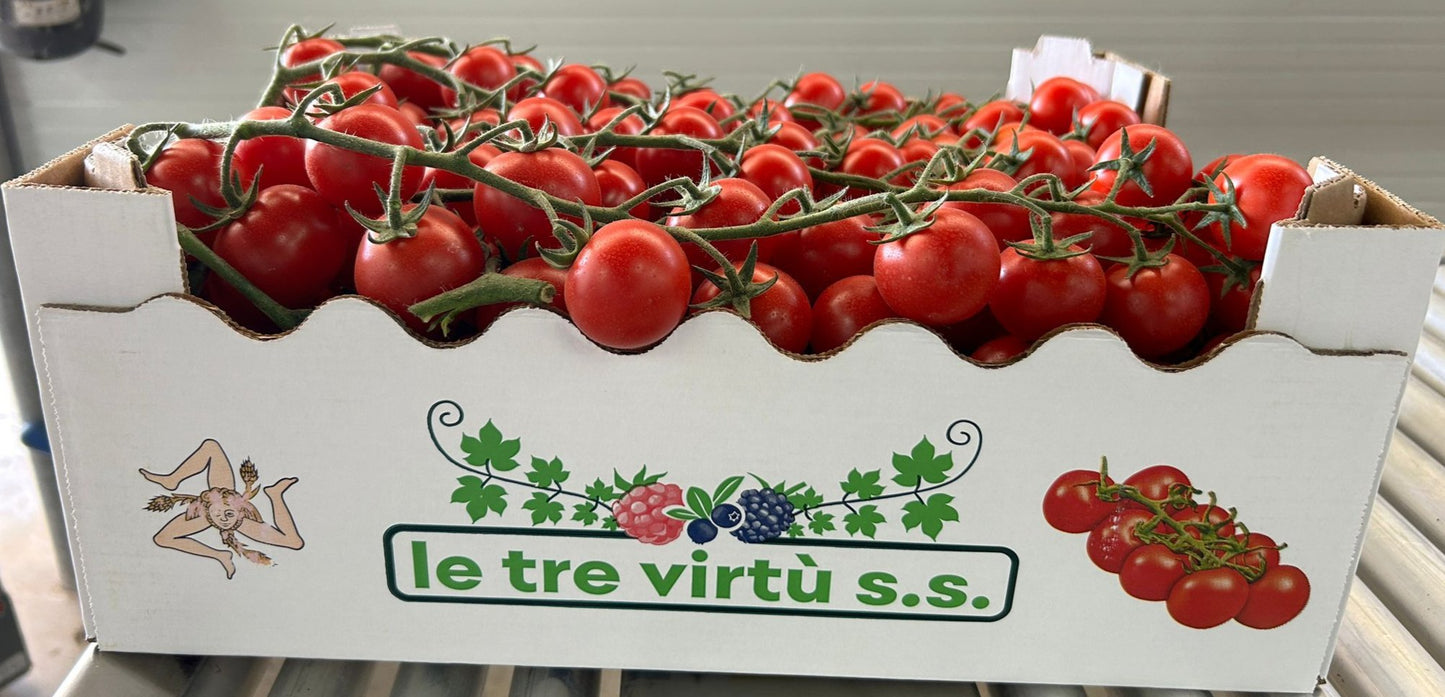 Pomodoro Ciliegino (70Kg) - Le Tre Virtù s.s.